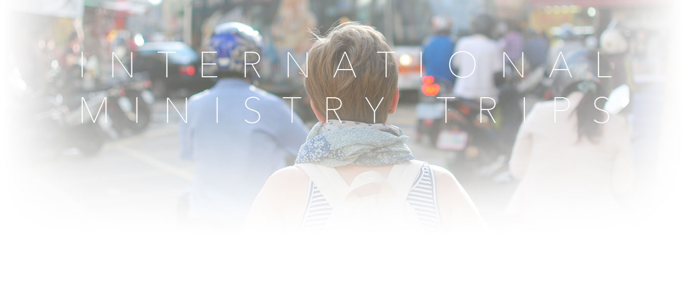 imt banner2